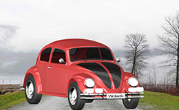 大眾甲殼蟲(chóng)